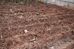 Understanding soil