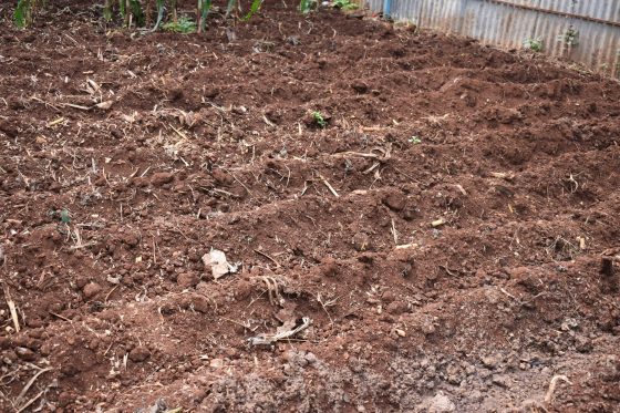 Understanding soil
