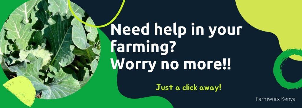 free farm consultancy