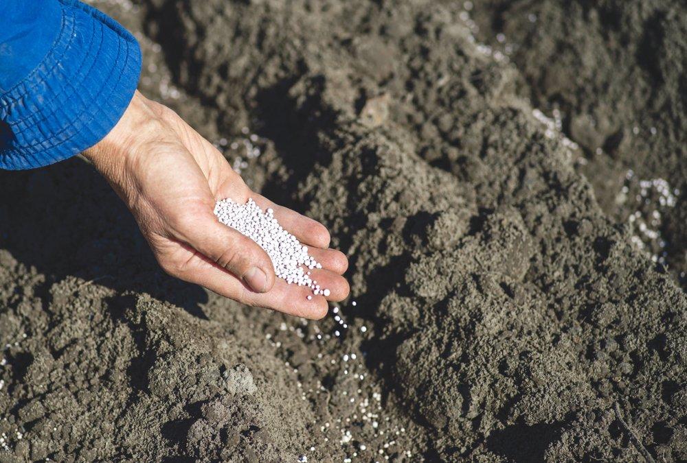 What awaits farmers in 2022
