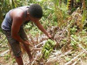 As a farmer are you making profit or loss? speak out