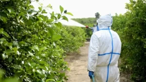 factors to consider when spraying