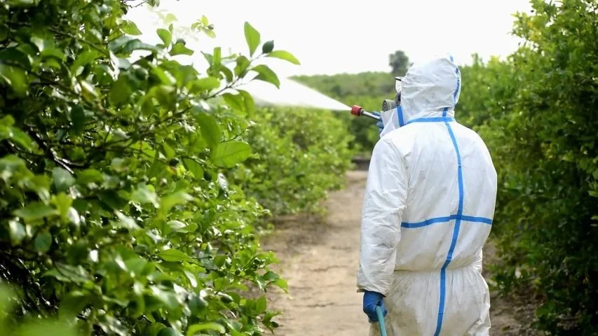 factors to consider when spraying