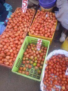Hope to tomato farmers as prices start to rise