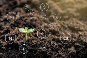 Why crops need Nitrogen, Phosphorus, Potassium and calcium