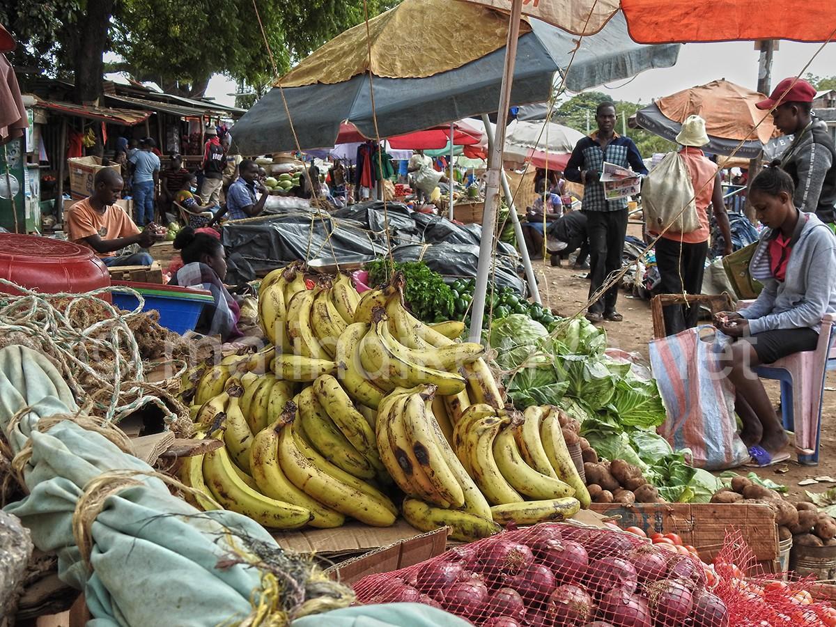 Food markets Review