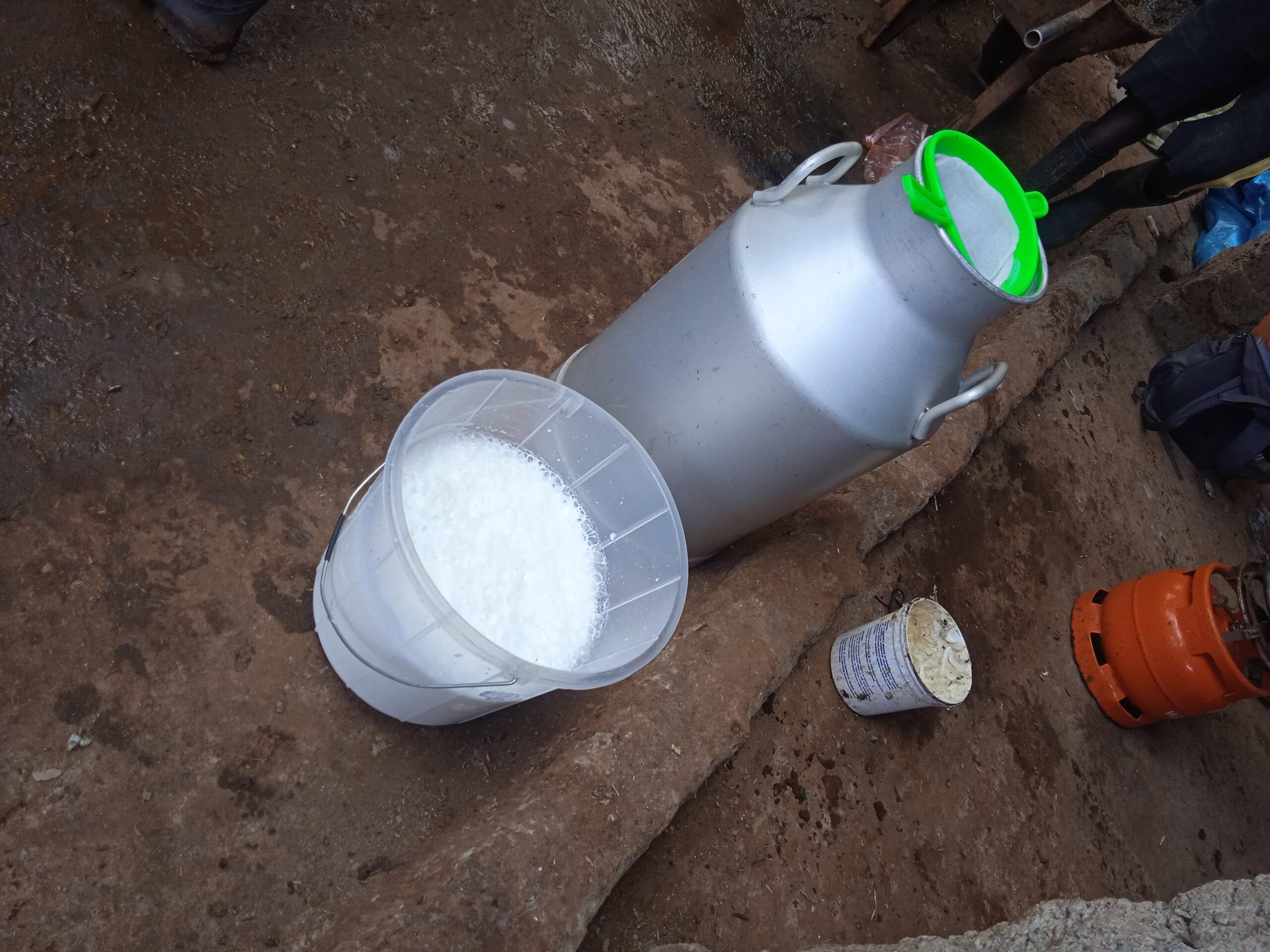 milk from one cow