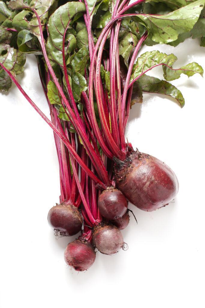 Beetroot farming; A complete simplified guide that starters need