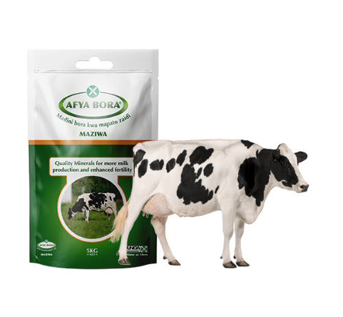 The best salt for dairy cows