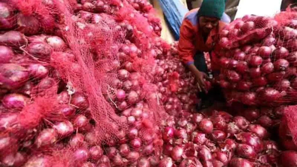 secret of onion farming in Tanzania