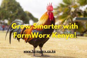grow smarter with farmworx kenya
