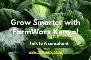 Talk to a consultant