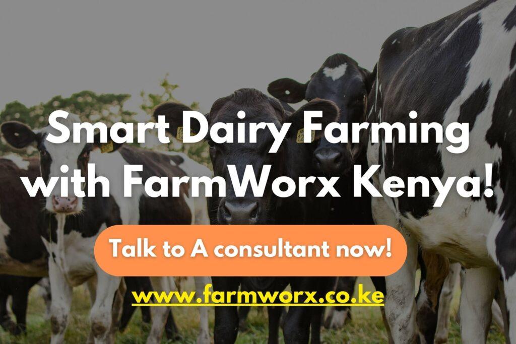 Smart farming with farmworx Kenya
