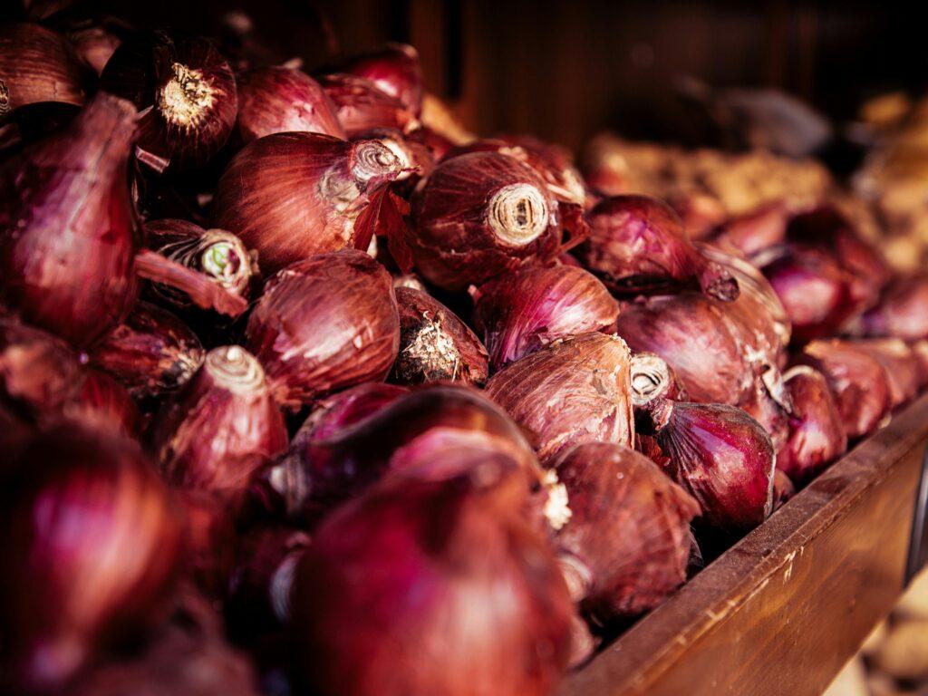 10 Essential Tips For Successful Onion Farming In Kenya(2024)