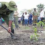 The Truth About Kenya's Tree-Planting Efforts