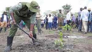 The Truth About Kenya's Tree-Planting Efforts
