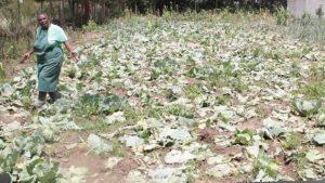 dont give up in farming