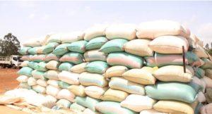 How many bags can you harvest per acre