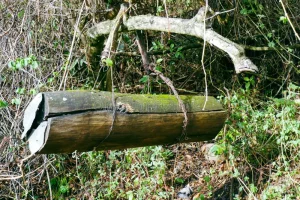 How to start beekeeping in Kenya