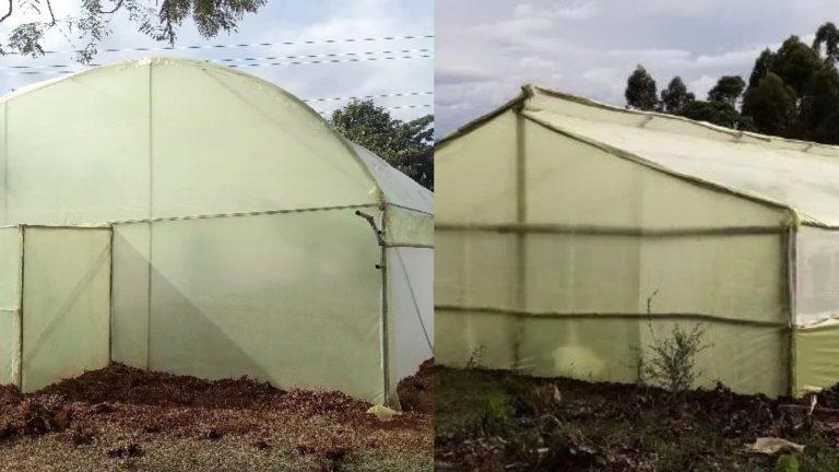 Cost of constructing Greenhouses in kenya