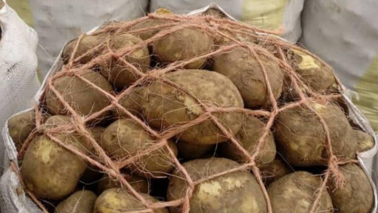 How profitable is potatoes farming