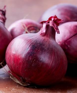 Cheapest bulb onions variety in kenya