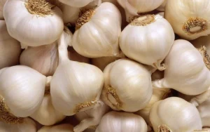 Cost of Garlic Farming in Kenya