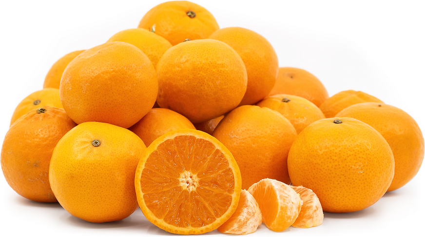 Pixie farming in kenya