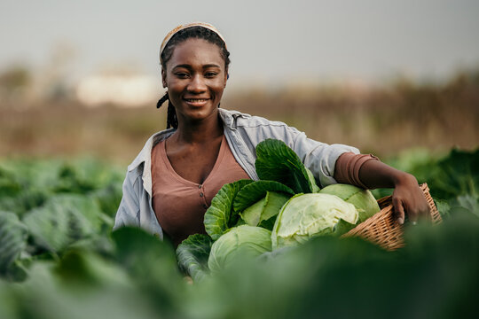 Monetise Your Farming