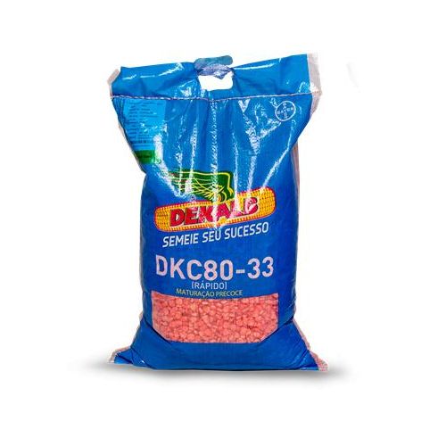 Best Maize seeds for short rains in Kenya