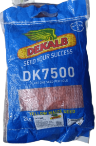 Best Maize Seeds for Silage in Kenya to Plant in October 2026