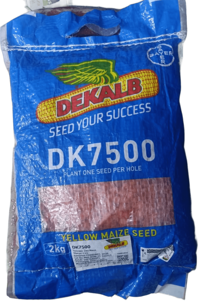 Best Maize Seeds for Silage in Kenya to Plant in October 2026