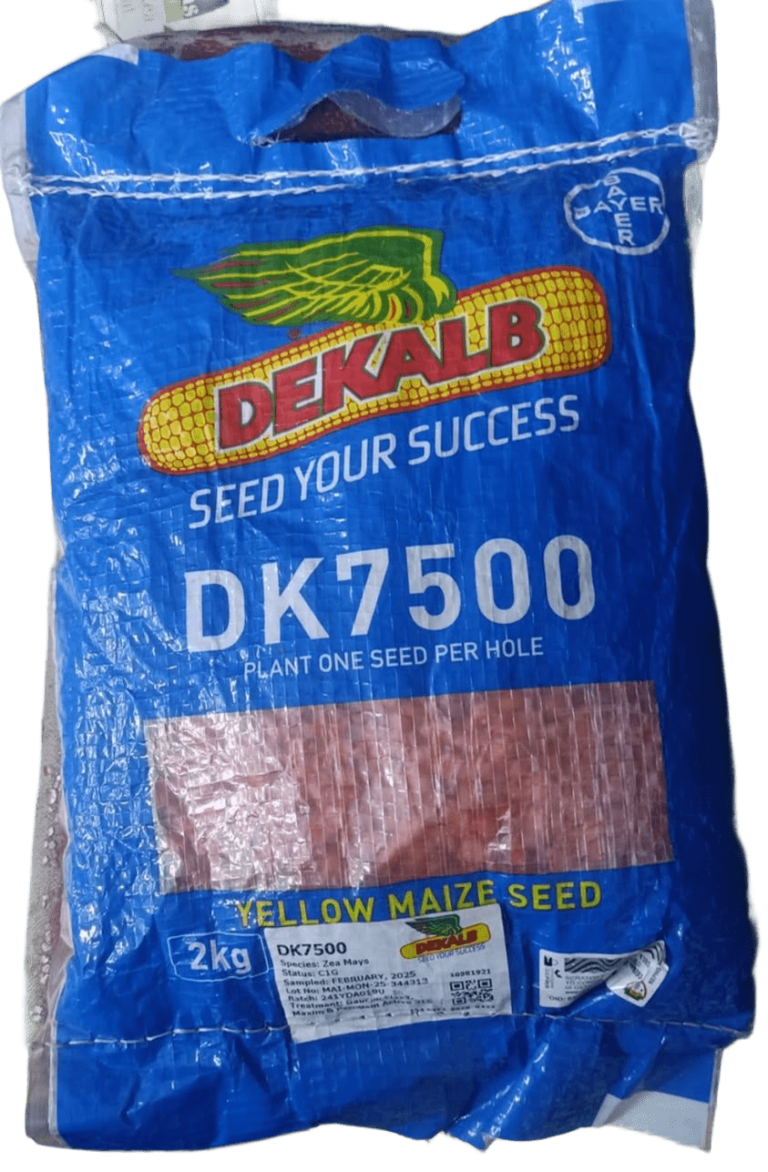 7 Best Maize Seeds for Silage in Kenya to Plant in October 2026