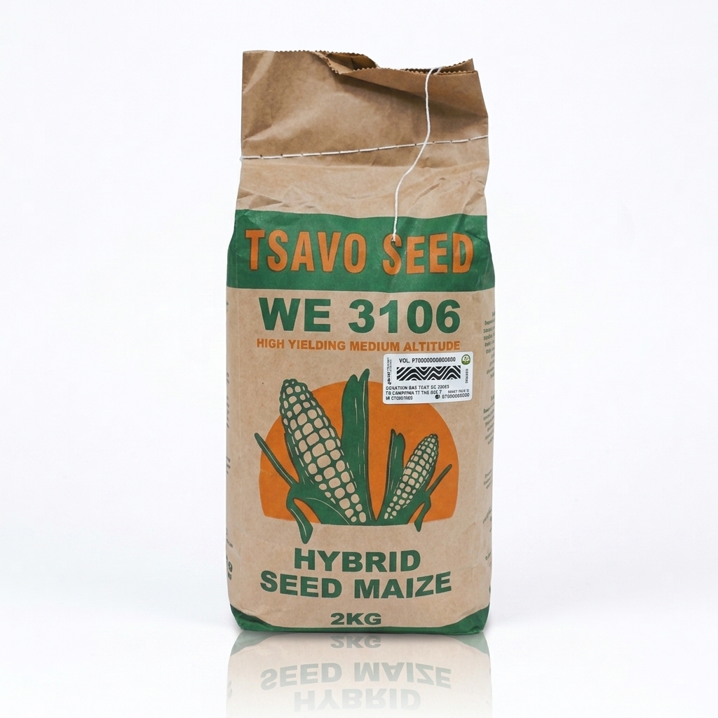 Best Maize seeds for short rains in Kenya