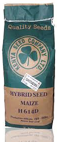 Best Maize seed for silage