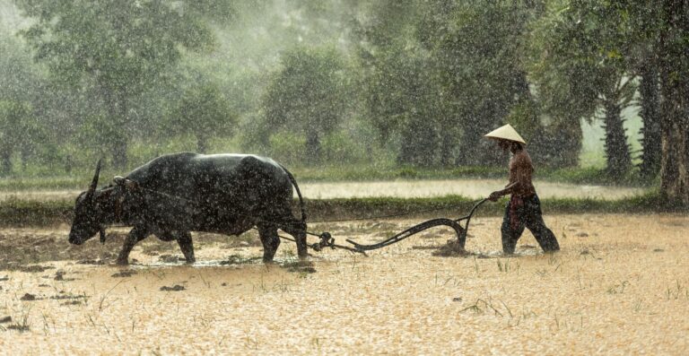 El Nino 2026: What Kenyan Farmers Can Learn From the 1997 Floods Before It’s Too Late